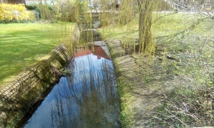 Ablauf des Mühlenbach aus dem Kälberteich mit Retentionsbereich