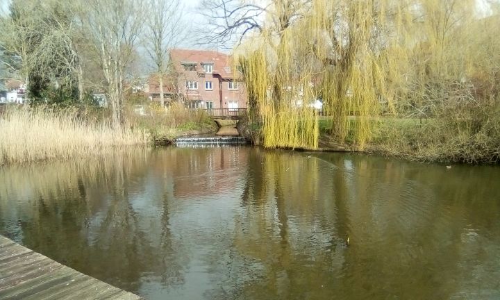 Zulauf des Mühlenbach zum Kälberteich, Schleswig